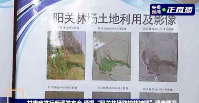甘肃通报敦煌防护林被毁调查：2000年以来未发现林地大面积减少