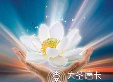 五种佛莲花 佛教中的莲花是什么含义？
