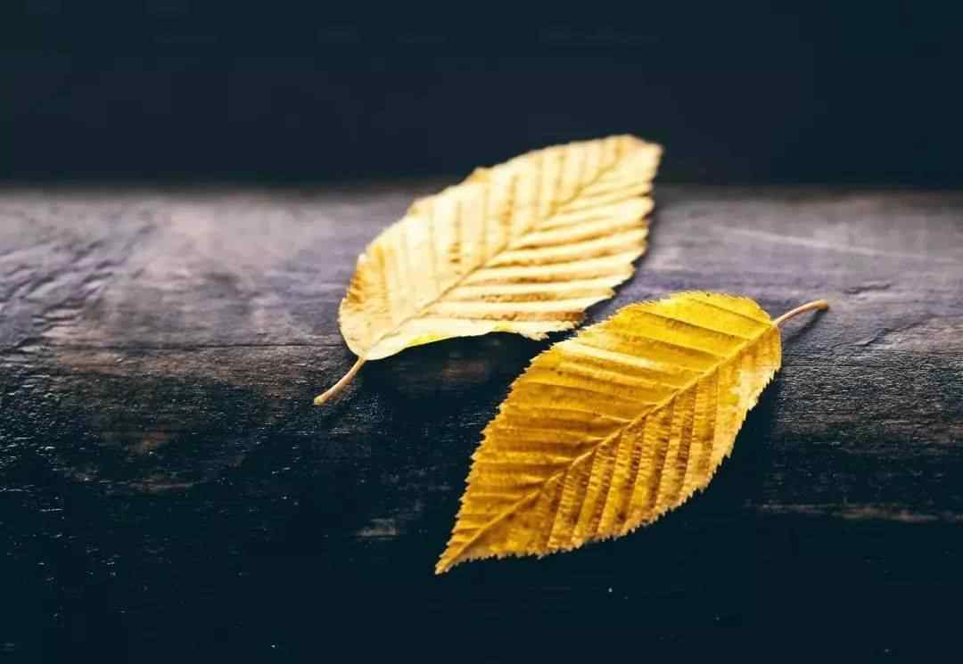 灭尽尘埃 人生本过客，何必惹尘埃