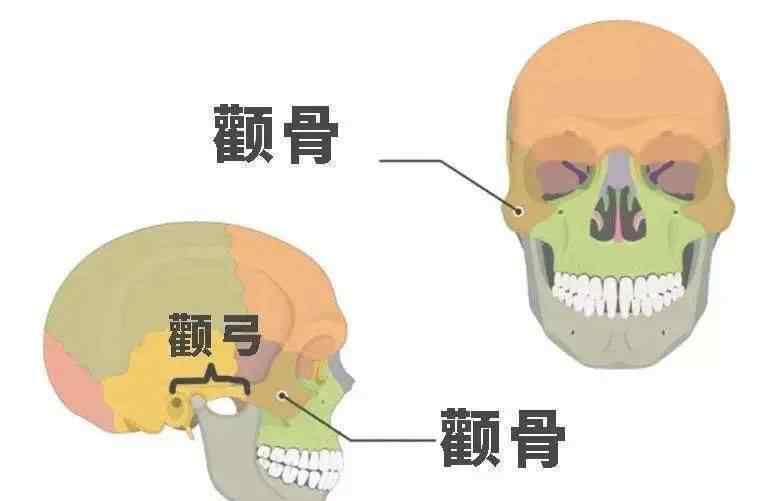 颧弓 脸大这个锅，“颧弓突出”不背！