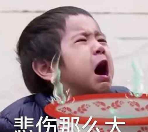那多 一起出发吧乐那多资料几岁了妈妈是谁 人小鬼大语出惊人