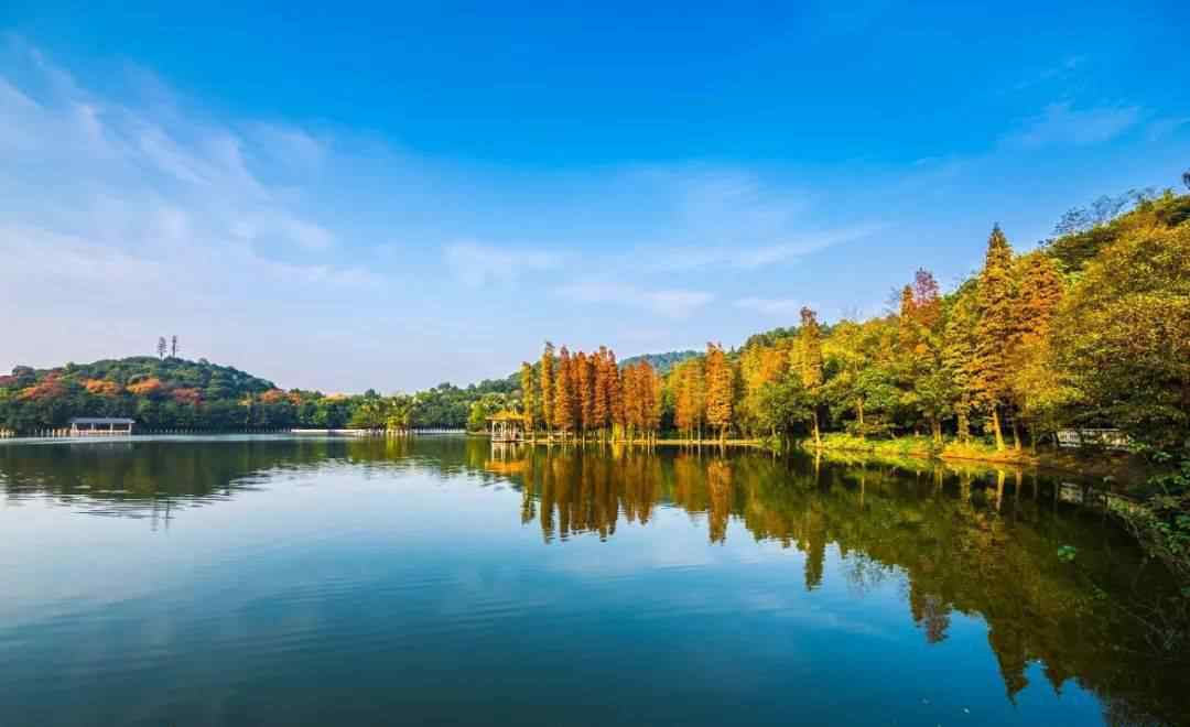 佛山哪里好玩 元旦去哪耍？这份佛山五区游玩攻略能帮到你→文章配图