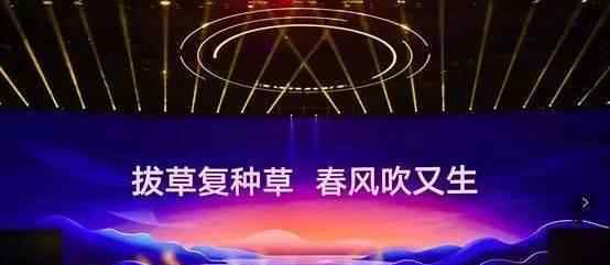 生活锦囊 罗振宇：在小红书看到中国人的“生活观”