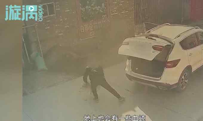 山西男子投食爆炸物后偷走柴犬！主人哭诉：我只是想把狗狗要回来