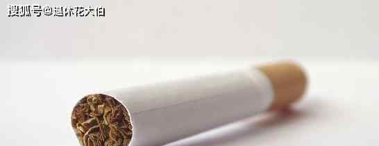 烟灰的作用 收集烟灰、烟丝养花，注意这些小细节，保管植株不生虫