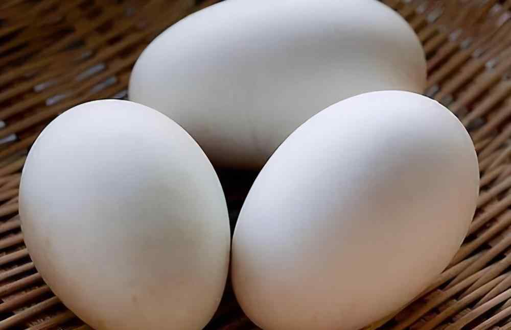 鹅蛋怎么吃降血糖 糖尿病人吃鹅蛋能不能降血糖？英国研究得出结论，鹅蛋不能多吃