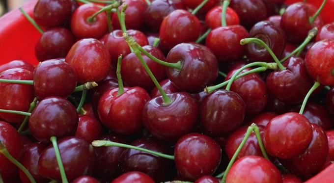 安徽宣城一批涉疫进口樱桃已售空 进口水果如何处理？