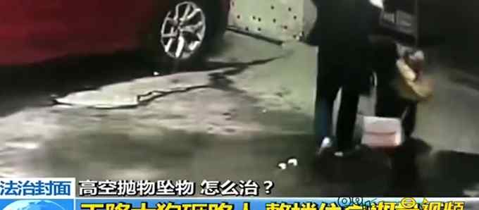 广州一女子被“天降大狗”砸瘫 无奈把整栋楼的人告了 法院判了