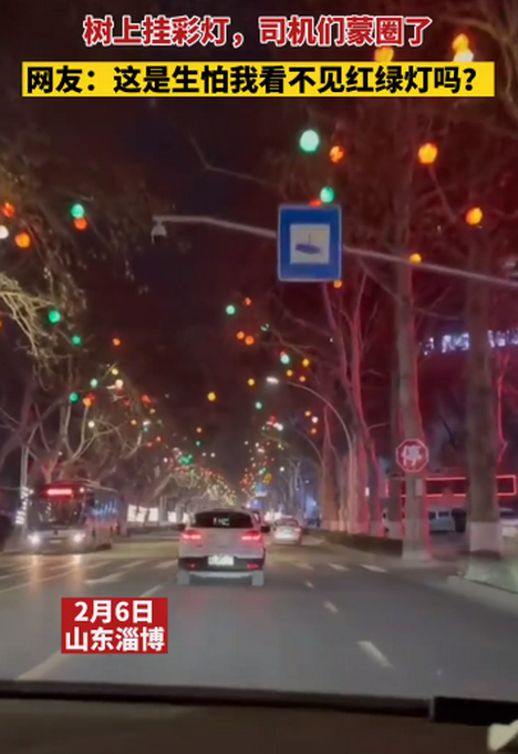 树上挂满彩灯 司机们蒙圈了！网友：这是生怕我看不见红绿灯吗？