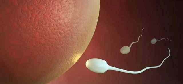 人工辅助受孕 揭秘“借腹生子”的背后：「代孕」远比你想象的残酷，堪称步步惊心