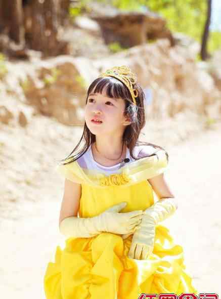 夏克立女儿 夏克立女儿poppy没有公主病真相 夏克立老婆黄嘉千身世显赫