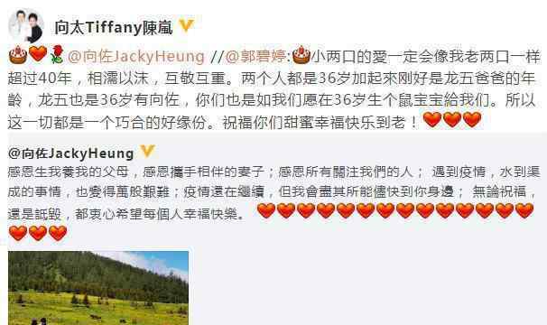 向太 向太宣布郭碧婷怀孕，领证疑似拖延，婆婆：终于生了鼠宝宝给我们