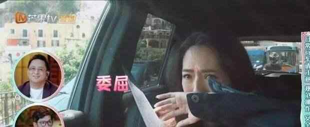 向太 向太宣布郭碧婷怀孕，领证疑似拖延，婆婆：终于生了鼠宝宝给我们
