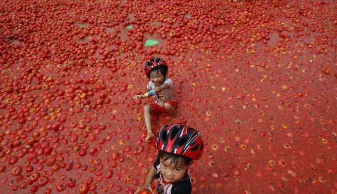 西红柿节 韩国举办西红柿节，烂番茄不浪费