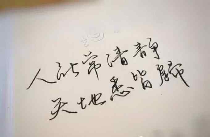 我与狸奴不出门 《中国诗词大会》武亦姝字体圈粉 她从词中读出不一样的陆游