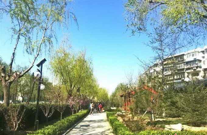 平乐园小区 北京平乐园小区背街小巷环境大整治 内外都有“面儿”