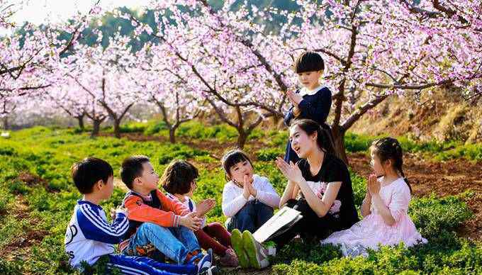 平谷桃花音乐节 “世界最大”桃花海的20年 平谷桃花节怎么又带上了“音乐”？
