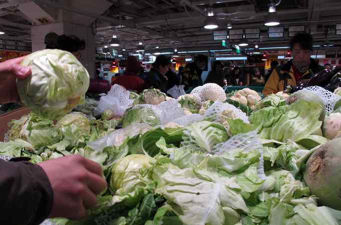 洋白菜价格 北京新发地市场：圆白菜大量上市 价格大幅下降