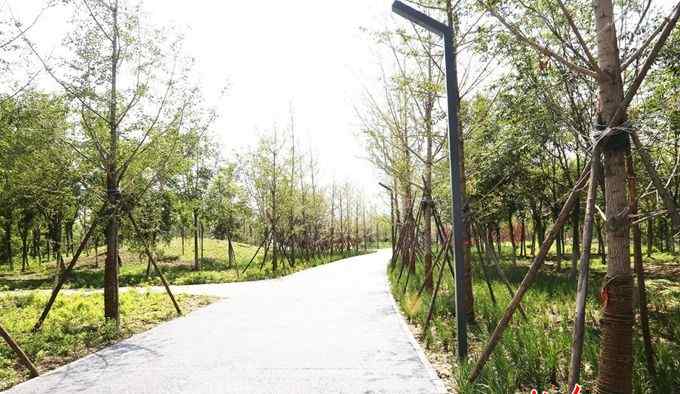 马驹桥地图 通州将添万亩城市“绿肾”，马驹桥湿地公园北区预计“十一”迎客