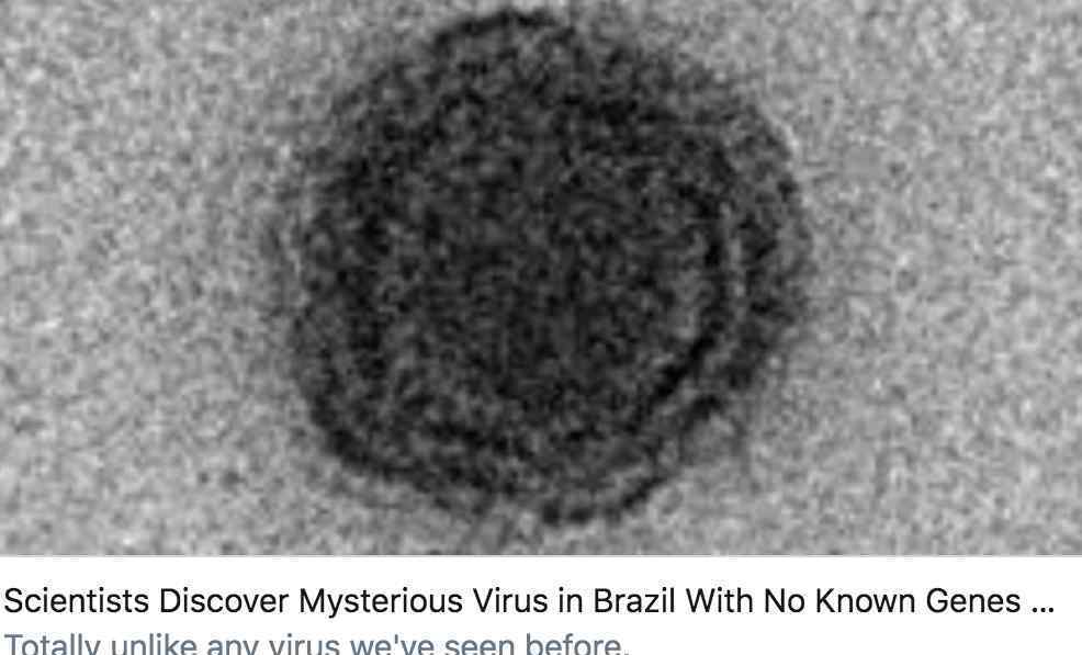 巴西“雅拉病毒”：就属于不会感染人类细胞的一种病毒
