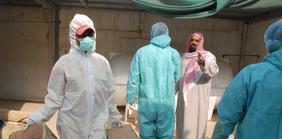 沙特H5N8高致病性禽流感爆发 2.2万只鸟类死亡