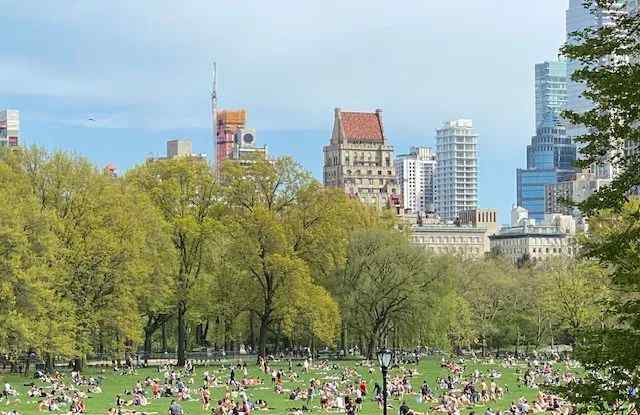 纽约市中央公园人满为患 很多人既没有佩戴口罩