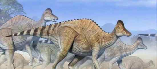 鸭嘴龙的软骨化石中可能找到了恐龙的DNA碎片恐龙DNA被找到了