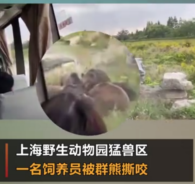 上海野生动物园熊群咬死饲养员 调查报告公布：9名负责人被处理