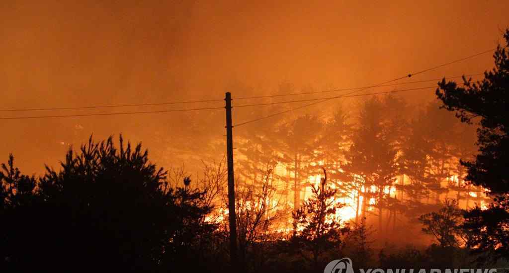 韩国东北部江原道的高城郡发生山火