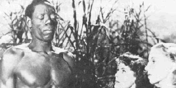1980年海地僵尸事件真相揭秘 人类学家韦德·戴维斯博科学解释