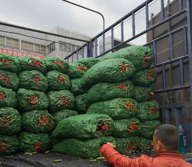 想做蔬菜批发怎么入手 作为零售发源地，上海最大蔬菜批发市场是怎么做的？