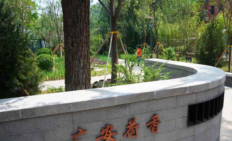 荷香园 广外有“荷香”！北京西城这个街道今年还将建多个口袋公园