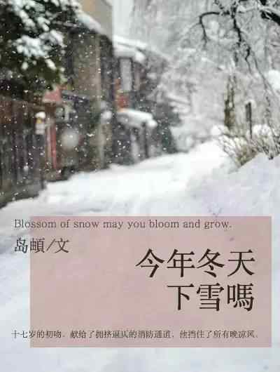 今年冬天下雪 《今年冬天下雪吗》温馨、养成、甜宠、大叔文。