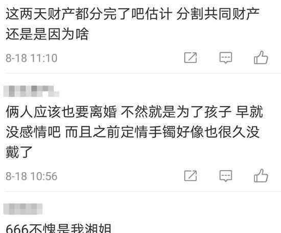 李湘王岳伦公司注销 两人名下公司已注销疑似婚变