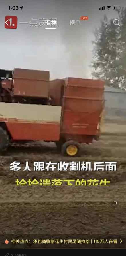 割花生村民尾随捡拾