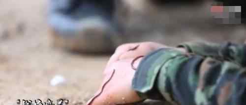 特战女兵身上爬满虫子竟纹丝不动文章配图