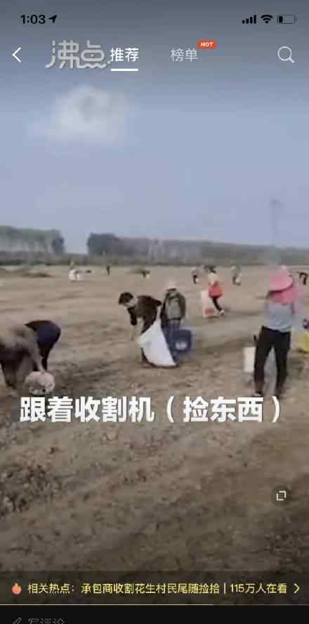 割花生村民尾随捡拾