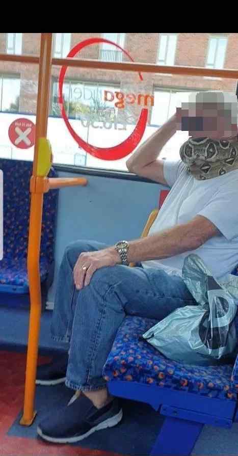 惊呆!男子乘车用蟒蛇缠脸当口罩 乘客误以为是围巾