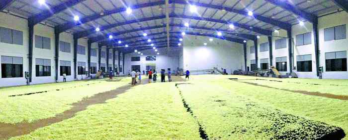 张一元茶馆 张一元广西标准化园区投产 新品龙毫香飘大栅栏百年老店