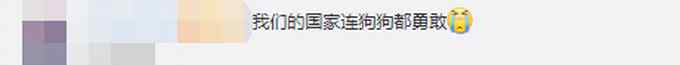 加勒万河谷冲突现场 我方军犬跳起往前冲！网友：同样是英雄
