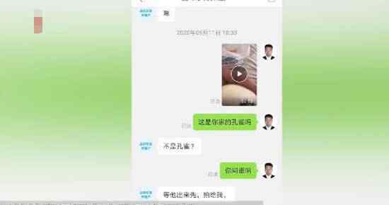 男子在网上买来孔雀蛋，收货后精心照顾，每天给蛋翻身3次丝毫不敢怠慢，孵化后一看想哭又想笑。