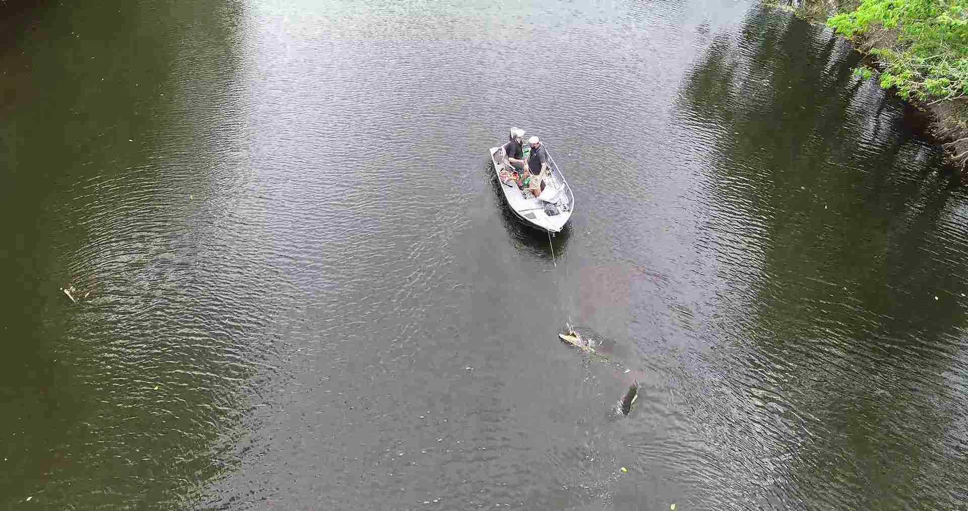 男子架起无人机欲拍下钓鱼场景 结果意外录下水中罕见一幕