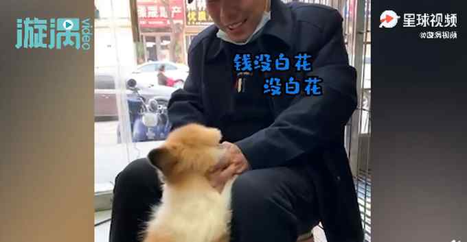 狗子在宠物店洗澡后太干净 主人不敢认称“没这么白” 网友：变漂亮了
