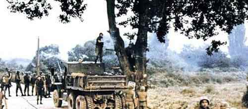 板门店事件 1976年朝鲜军人用斧头砍死一名美军，为了一棵树，朝鲜战争差点重开
