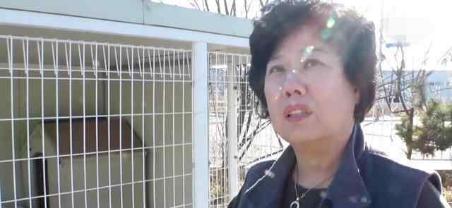 窝狗 狗窝里多出一窝小狗，长得却不像“爹”，一验DNA主人懵了