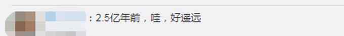 中国发现2.5亿年前九峰吐鲁番兽 体型大小相当于现在河马
