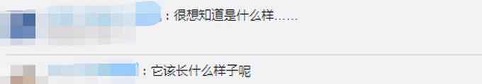 中国发现2.5亿年前九峰吐鲁番兽 体型大小相当于现在河马