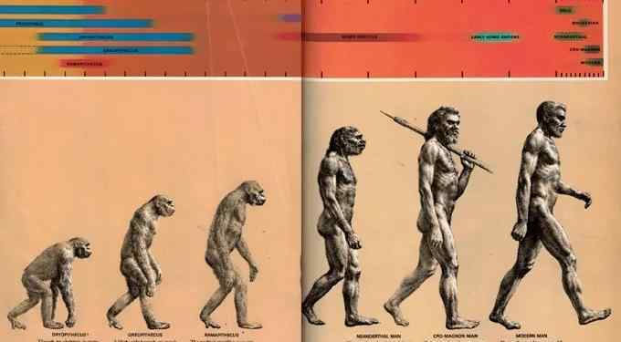 人类的进化过程图 人类进化是个骗局？这张“人类进化图”是错的，误导了无数人！