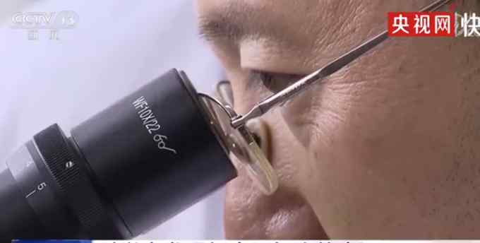 中国科学家发现成体肝脏中新生肝细胞来源 网友：肝病患者福音！