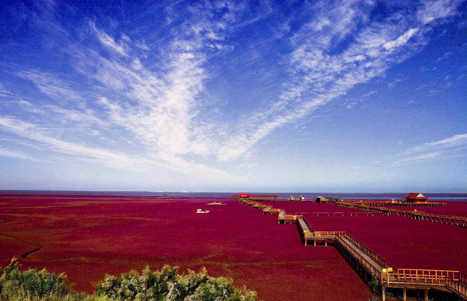盘锦红海滩 盘锦市红海滩什么季节是最美的？